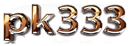 pk3333 logo